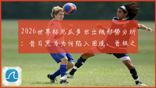 2026世界杯厄瓜多尔出线形势分析：昔日黑马为何陷入困境，晋级之路关键点剖析
